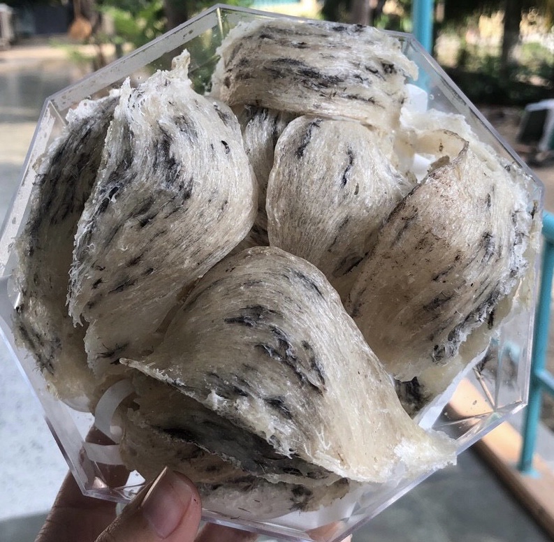 Yến thô loại 50 gram
